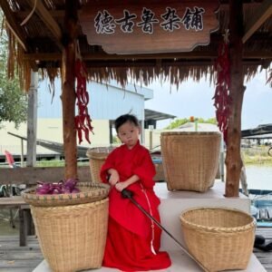 儿童价(12岁以下)